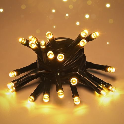 SALCAR Guirlande lumineuse LED d'extérieur USB 2 m 20 LED Éclairage de sapin de Noël extérieur étanche Guirlande lumineuse pour intérieur et extérieur, arbre de Noël, jardin, fêtes, blanc chaud