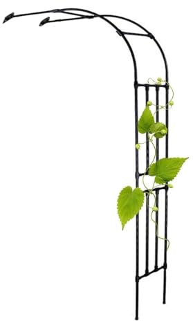 Halbbogen-Gartenlauben, schwarzer Metalltorbogen, Wandmontage, Pflanzenpergola, Spalier für Kletterpflanzen, Rosen, wetterbeständig, Höhe 2,4 m (Größe: 150 x 240 x 40 cm)