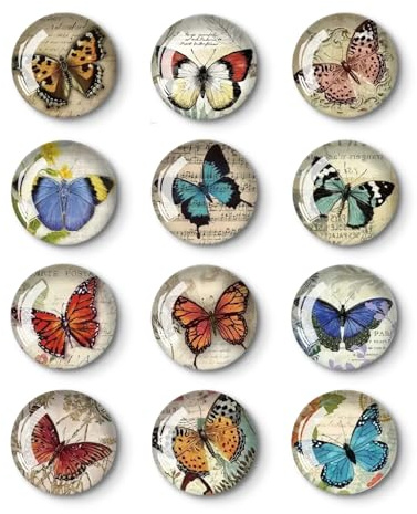 Set da 12 Pezzi di Calamite Frigorifero Decorazioni Magnete da Frigo Personalizzato Divertenti Magneti da Magneti Decorativi per Frigorifero Presentazioni Progettuali Note