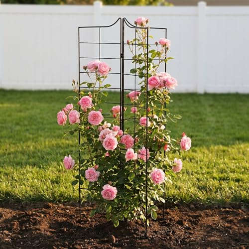 SCENDOR GARDEN 3-teiliger Klappbarer Garten Rankgitter 115 cm H x 24,5 cm B, Metall Dekorativer Rankzaun für Kletterpflanzen, Rostbeständiges Rankgitter für Garten, Schwarz, 1 Stück