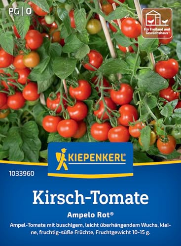 Kiepenkerl Kirsch-Tomatensamen Ampelo Rot® 1033960, Gemüsesaat | Fruchtig- süß, leichter Überhang- Samen Gemüse, Wuchshöhe 30-40 cm, kompakt, aromatisch, für Hochbeet, Freiland & Topf