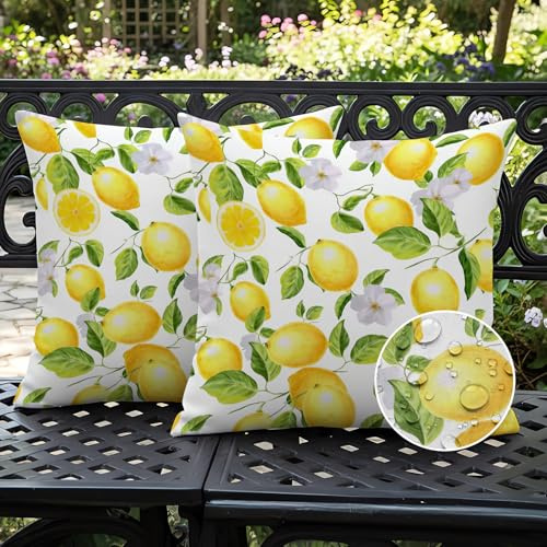Ardjxue Citronkuddfodral 50 x 50 cm utomhus vattentäta kuddar dubbla citronmönster gult vita blommor moderna gröna blad för soffa vardagsrum balkong trädgård bil set om 2