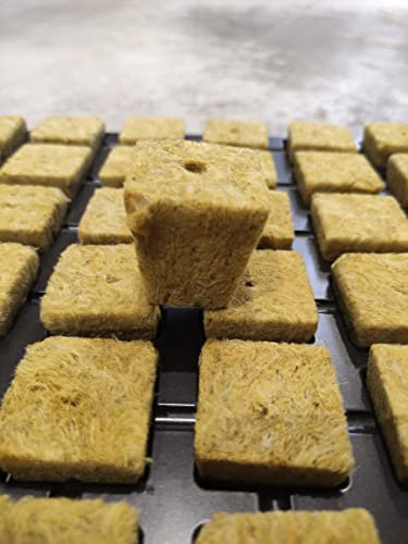 Cultilene Bandeja Lana Roca 35x35x40 77 Alveolos