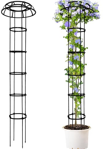 TIKTALK Rankhilfe Obelisk,195 cm hoch rankhilfen für kletterpflanzen,Metall Pilz Top,einstellbare Höhen Pflanze Spalier für Topfpflanzen, Tomaten, Gurken, Clematis, Rose