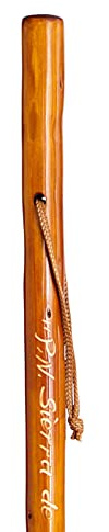Bordón para Caminar por la montaña Madera castaño Oscuro 125cm Talla L Senderismo Personalizado