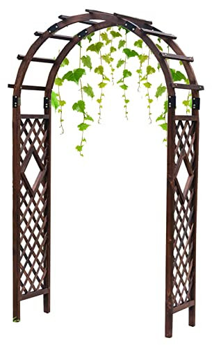 Gartenlaube aus Holz mit Tor und Ornamenten-Rosen-Design, robuste gewölbte Tür für Kletterpflanzen, Unterstützung für den Außenbereich, Eingangsbereich, Pergola, braunes Finish, 150 x 225 x 50 cm