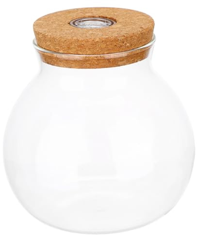 OFFSCH Klares Glas-Terrarium mit Led-Beleuchtung Rundes Hydroponik-pflanzengefäß mit Luftdichtem Korkdeckel Kleine Pflanzstation für Zimmerpflanzen und Dekoration im Büro und Zuhause