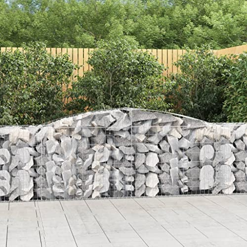 ZQQLVOO Gabbioni in metallo per recinzioni da giardino in metallo con arco alto, 20 pezzi, 400 x 50 x 80/100 cm, ferro zincato, soluzione ideale per giardinieri salvaspazio e piante sane