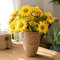 LIUWEIBIN Cache-Pots de Fleurs Originaux,Pot de Fleur Intérieur Grande Taille Chic,Support Plantes Intérieur Design,Cache Pot en Osier Tressé,Cache Pot Plante Intérieur Moderne et Élégant(S)
