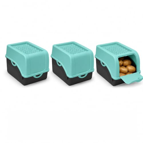 ARTECSIS® 3 x caja para patatas con tapa 4 kg (verde menta), almacenamiento de verduras y alimentos con 6 etiquetas