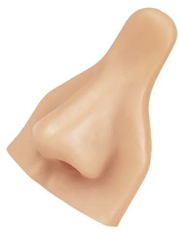 Mikinona Modèle Outil Pédagogique en Silicone pour Pratique de Piercing de Nez Solide et Facile à Transporter, pour Scénarios D'enseignement de Piercing