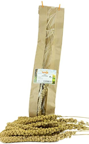 Getzoo Gelbe Kolbenhirse 5 STK | Schmackhafte Knabberalternative für Nager | Frisch aus Deutschland | Vitamin- & Ballaststoffreich | Fördert Zahngesundheit
