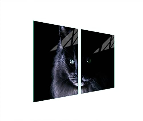 DarHaus Herdabdeckplatten 45x52 cm 2-teilig Ceranfeldabdeckung Induktion Herdschutz Spritzschutz Glasplatte Deko Schneidebrett, Katze Schwarz