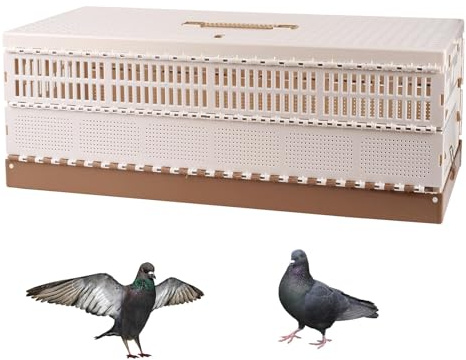 Plastic Folding Pigeon Cage, Portable Pet Bird Travel Cage Carrier Pigeon Cage Pairing Cage Pigeon Nest Box Easy to Clean for Training and Release Competition (XL)