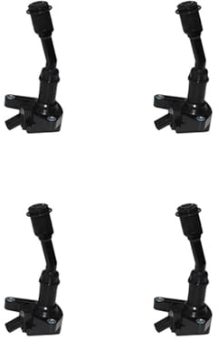 Zündspule Zündmodul Für Ford C-MAX II DXA CB7 DXA CEU 1,5 EcoBoost M8DB 2015- Focus Galaxy KUGA OEM DS7G12A366BB DS7212029B (Größe: 1 PC)