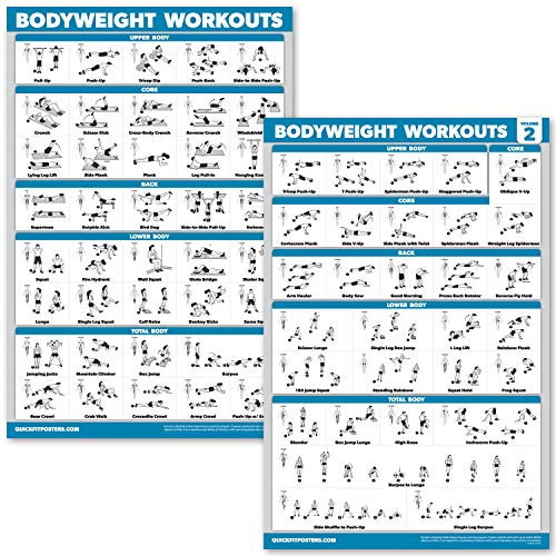 Palace Learning QUICKFIT Übungsposter-Set, Band 1 & 2, laminiertes Körpergewicht, 45,7 x 61 cm, 2 Stück