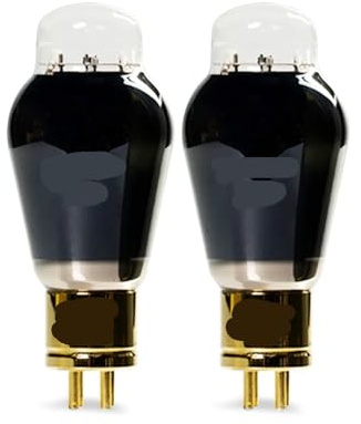 JEQGDLUI Amplificatore Audio a valvole 2A3-T 1/2/4 Pezzi(2 PCS)