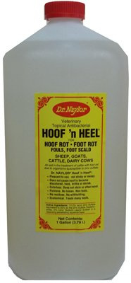 Dr. Naylor HHG Hoof N' Heel Livestock Ointment, 128-oz. - Quantity 44