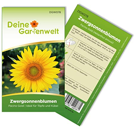 Zwergsonnenblumen Pacino Gold Samen - Helianthus annuus - Sonnenblumensamen - Blumensamen - Saatgut für 8 Pflanzen