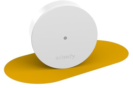 Somfy 2401495 - Radio Extender Somfy Protect | Ökar radioräckvidden | Kompatibel med serierna Home Alarm och Somfy One(+)