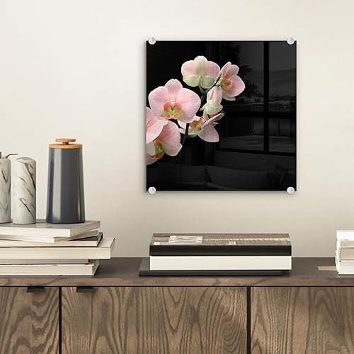 MuchoWow Glasbild Glasfoto Wandbild Bilder Deko 20x20 cm Orchidee - Blumen - Rosa - Stilleben - Flora