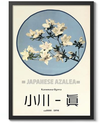 Azalea Ogawa Kazumasa Poster, Japanese Flower Photographic Print, Vintage Floral Art Picture Photo Wall Art Exhibition, Archival Matte, A4 (Black Frame) - 29.7x21cm