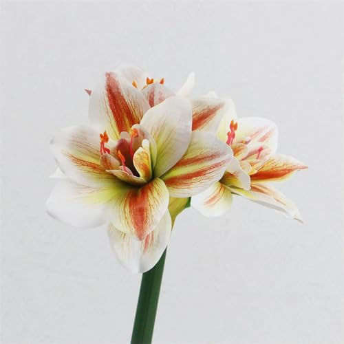 TVIVID Künstliche Amaryllis-Blumen, fühlen sich echt an, künstliche Blumen, Heimtisch, Hochzeit, Dekoration, Polyurethan, Hochzeitsdekoration
