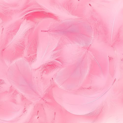 Mbsomnus 600 Stück Federn zum Basteln Rosa Federn Natürliche Feder Deko Bastelfedern für DIY Handwerk Traumfänger Ohrringen Federblumen Kopfschmuck Hochzeit Party Weihnachten Dekoration
