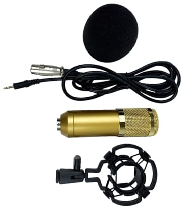 COHEALI Microfono Condensatore Bm-800 Oro Doppia Rete Elastica | Corpo in Plastico, Testa Audio a Grande Diaframma, Alta Sensibilità e Resistenza alla Caduta