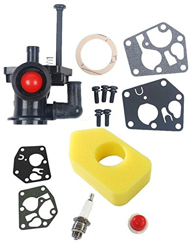Carkio Carburateur avec filtre à air 698369 Compatible with Briggs & Stratton 795477, 795469, 794147, 699660, 794161, 498811