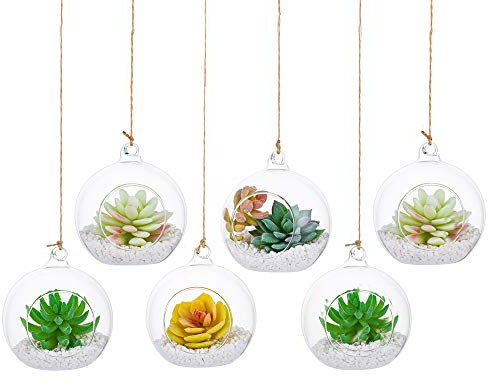 Hängende Glaskugel Vase Glaskugel Große Öffnung Sukkulenten Aufhängen Terrarium Glas Flower Air Pflanzgefäß Container 4 Inches für Home Party Hochzeitsgarten DIY Desig (10cm 6Stck, Clear)