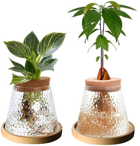 Lot de 2 terrariums de propagation en verre, station pour boutures, support de bureau, vase pot de fleurs pour la culture de plantes hydroponiques (B)