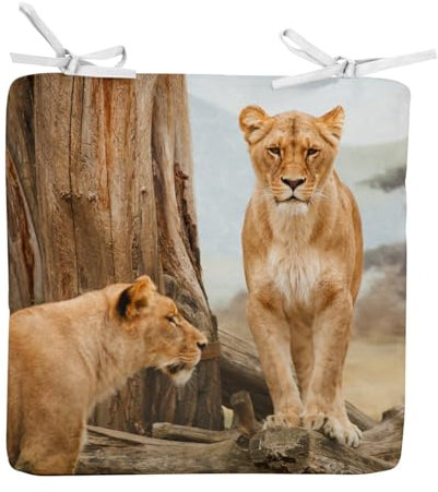 Fabulous Stuhlkissen, quadratisch, Löwen in der Nähe eines afrikanischen Savannenbaums, 40 cm – Stuhlkissen