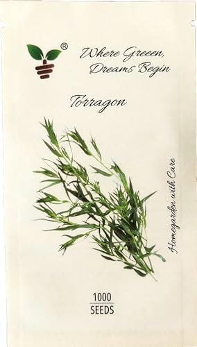 Pack of 1g, Approx. 1,000 Mexican Mint Seeds - Fresh Culinary Herb for Cooking & Medicinal Use (Tarragon)