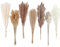 Décoration de Pampas séchée, 128 pièces de Pampas avec des Fleurs de Queue de Lapin, Bouquet de roseaux pour Mariage, Fleurs bohèmes, décoration de Table de Maison, fête Rustique de Ferme