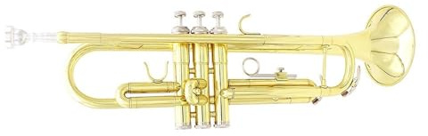 Standard Trompeten Blechblasinstrument Trompete B-Blech-Trompete Anfänger Profi Edelstahl Vollton(Gold)