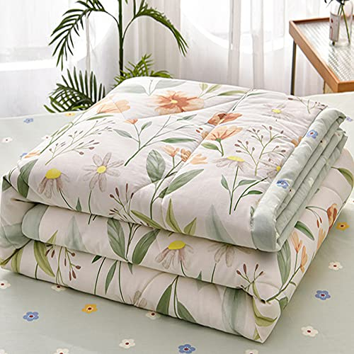 Chickwin Trapuntino Copriletto Matrimoniale Singolo, 3D Semplice Reversibile Coperta Primaverile Autunnale Trapunta Estivo Trapuntato Coperta Letto per Camera da Letto (180x200cm,Erba da Giardino)