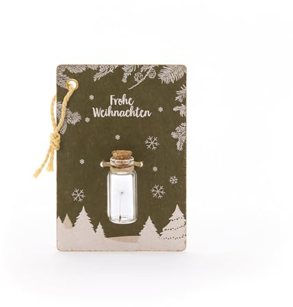 10 x Kleiner Wunscherfüller Frohe Weihnachten | Echtes Pusteblumen-Schirmchen im Glas als Geschenkanhänger | Ewig haltbar | Perfekt als Geldgeschenk, Geschenkanhänger & kleine Besonderheit