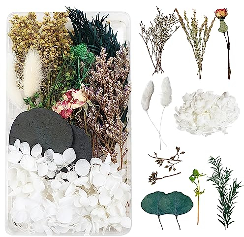 Trockenblumen zum Basteln Trockenblumen Deko Trockenblumen Klein Getrocknete Blumen Deko Trockenblumen Basteln Trockenblumen Set für DIY Basteln Epoxidharz Scrapbooking Dekoration（weiß und grün）C-047G