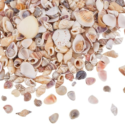 WEBEEDY About 400 PCS Small Natural Seashells Mixed Sea Shells for Crafting Mini Seashells Bulk for Home Decorations Beach Theme Party Decorations Fish Tank Filler Accessories DIY Art Crafts(0.5-2 cm)