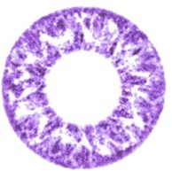 Matlens – GEO Farbige Kontaktlinsen ohne Stärke GEOLICA Crystal lila violet CK-501 2 Linsen 1 Kontaktlinsenbehälter 1 Pflegemittel 50ml