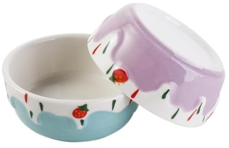 ieron 2 Pezzi Ciotole per Animali in Ceramica con Bacche in Ceramica, Ciotole per Mangiatoia per Criceti, Piatti in Ceramica per Piccoli Animali per Topi Porcellini d'India Ricci (Blu+Viola)