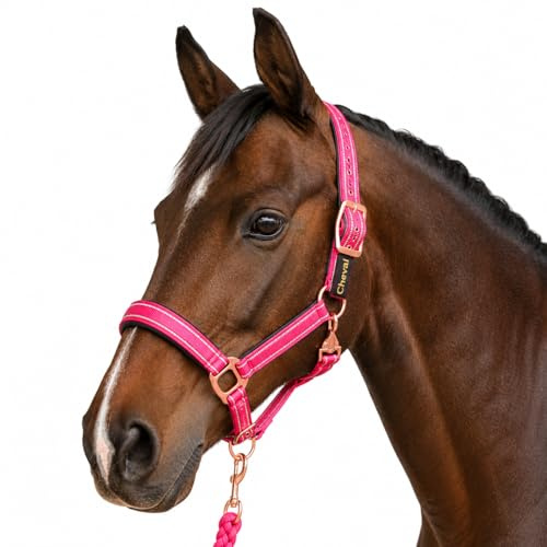 Halfter für Pferde mit Glitzer in Rosegold, Halfter Pferd in schwarz und pink, 2-Fach verstellbar (Pink Rosegold, Shetland Pony (Shetty))