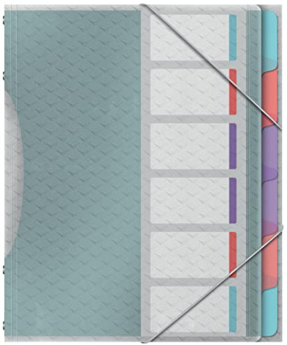 Esselte A4-Projektordner mit 6 Taben, Ordnungsmappe mit Register zur Schreibtischorganisation und Aufbewahrung von Projektunterlagen, Mit Klappen und Gummizug, Colour'Breeze Serie, Mehrfarbig, 626255