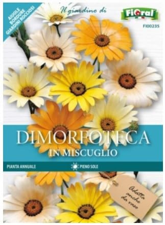 DIMORFOTECA IN MISCUGLIO SEMI FIORI