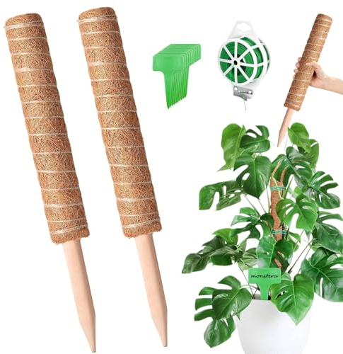 moosstab für Monstera rankhilfe, 2pcs 41cm pflanzenstütze rankhilfe zimmerpflanzen, pflanzstab kokosstab für pflanzenfür mit Zubehö