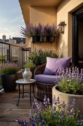 Pack 3 Plantas de Lavanda Natural en Maceta - Lavandas Vivas con Flores Moradas - Planta de Exterior Resistente al Sol para Jardín, Terraza y Balcón - Aromática Ahuyenta Mosquitos