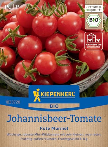 Kiepenkerl Johannisbeer-Tomatensamen Rote Murmel 1033720, Gemüsesaat | Leuchtend rot, Tomatenpflanzen, für Freiland & Topf