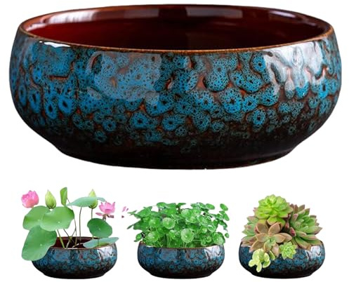 Lotus Bowl Planter, Lotus Bowls for Planting in Water Indoors, Bonsai Bowl Lotus Flower Seeds Pot, Indoor Hydroponic Planter Decor, White Hydroponic Flower Pot (C)