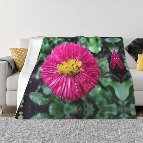 POEZJZW Flower Gerbera Pattern Fashion Flannel Bed Blanket Cozy Blanket Soft And Warm Sofa Bedroom Blanket 60X50